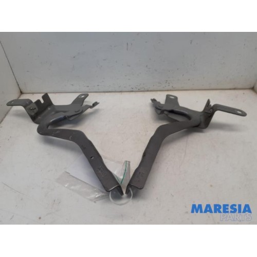 Renault - Clio - Bonnet Hinge
