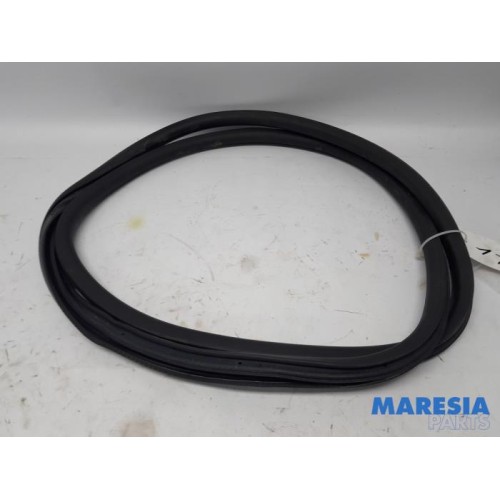 Peugeot - 308 - Front door seal 4-door, left