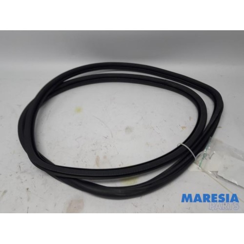Peugeot - 308 - Front door seal 4-door, right