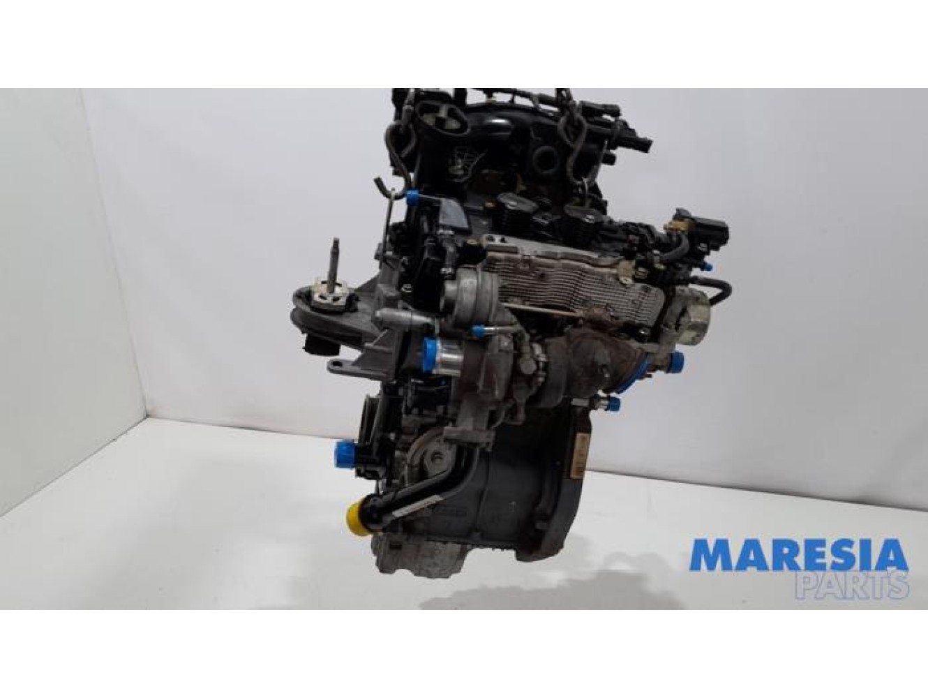 Fiat - Panda - Engine