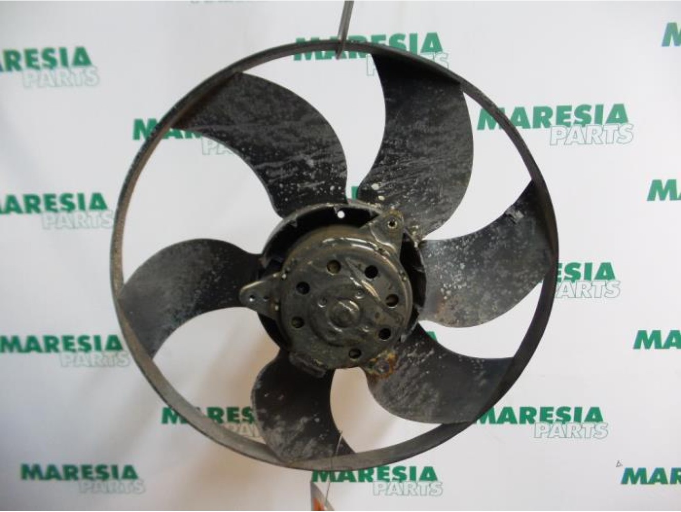 Renault - Megane Scenic - Kühlgebläse Motor