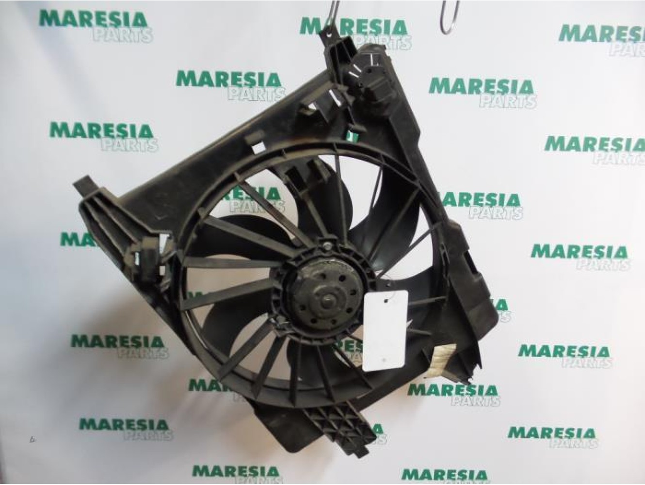 Renault - Megane Scenic - Kühlgebläse Motor