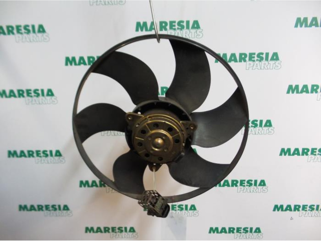 Renault - Megane Scenic - Kühlgebläse Motor