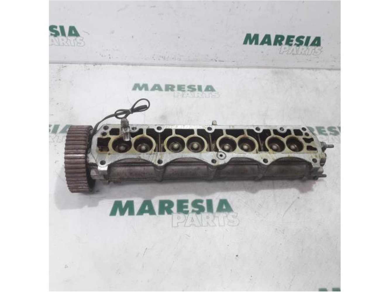 Fiat - Marea - Nokkenas