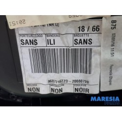 Citroen - DS4 - Türverkleidung 4-türig links hinten