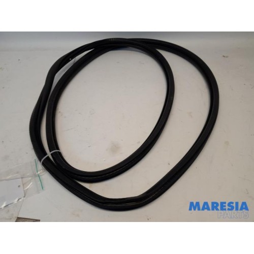 Peugeot - 3008 - Front door seal 4-door, left