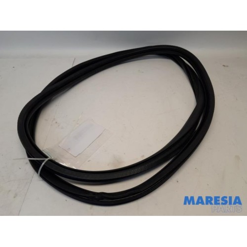 Peugeot - 3008 - Front door seal 4-door, right