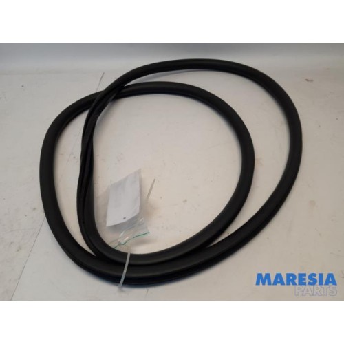 Peugeot - 3008 - Portierrubber 4Deurs links-achter