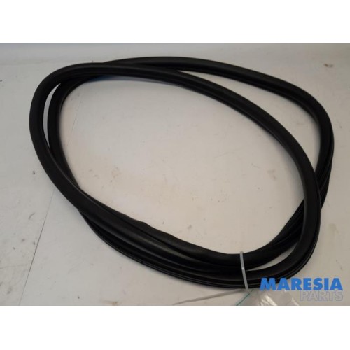 Citroen - DS4 - Front door seal 4-door, left