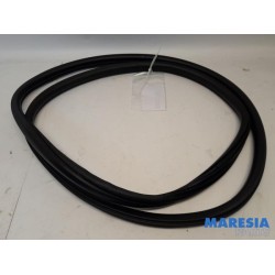 Citroen - DS4 - Front door seal 4-door, right