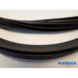 Citroen - DS4 - Front door seal 4-door, right