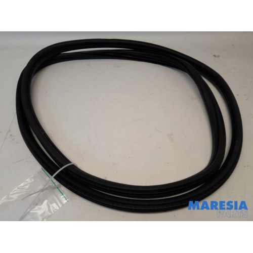 Citroen - DS4 - Front door seal 4-door, right