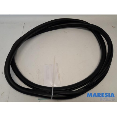 Citroen - DS4 - Rear door seal 4-door, right