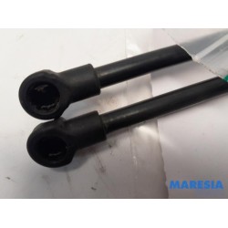 Peugeot - 3008 - Set of tailgate gas struts