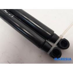 Peugeot - 3008 - Set of tailgate gas struts