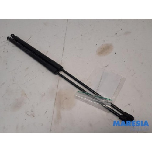 Peugeot - 3008 - Set of tailgate gas struts