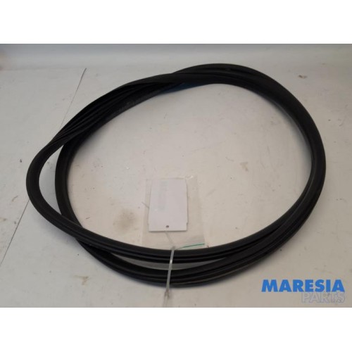 Peugeot - 3008 - Portierrubber 4Deurs links-achter