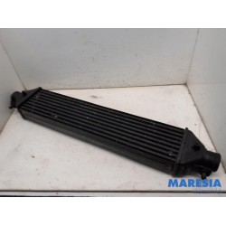 Lancia - Delta - Intercooler