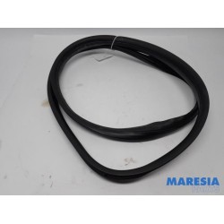 Citroen - C1 - Portierrubber 4Deurs links-achter