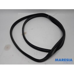 Citroen - C1 - Front door seal 4-door, left