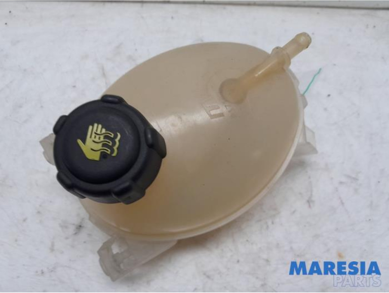 Renault - Clio - Expansion vessel