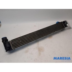 Renault - Megane - Intercooler