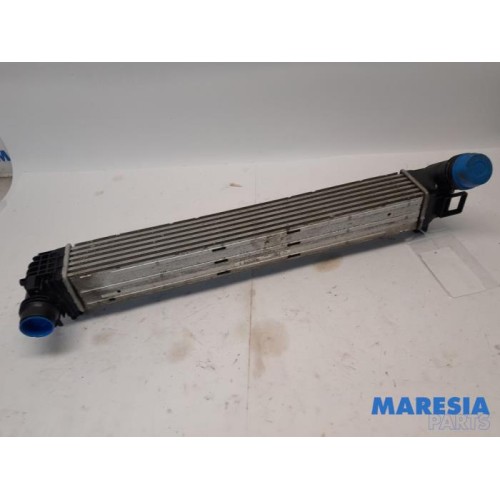 Renault - Megane - Intercooler