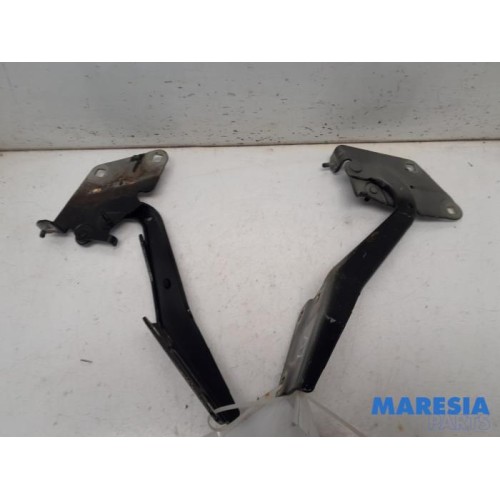 Renault - Megane - Bonnet Hinge