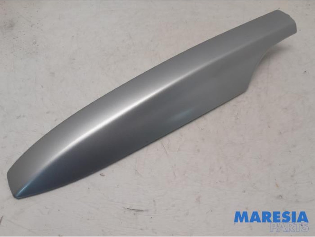 Renault - Megane - Protection rails de toit