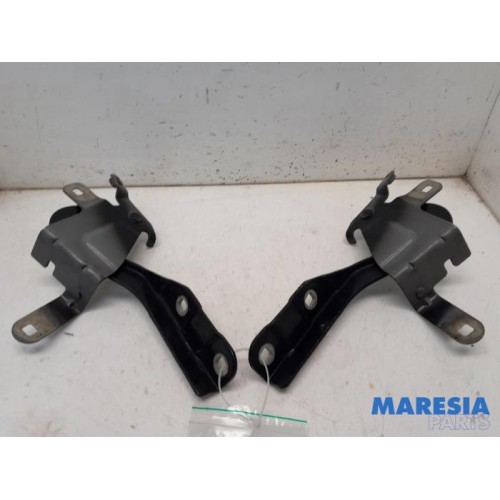 Renault - Clio - Bonnet Hinge