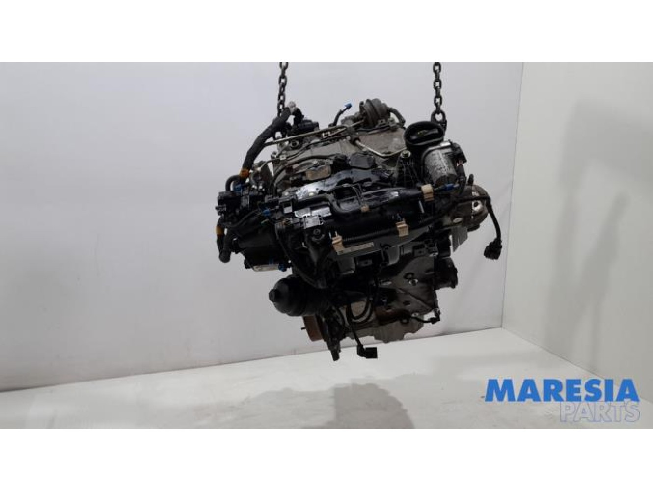 Fiat - Panda - Engine