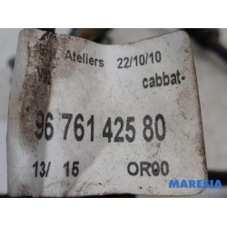 Citroen - C5 - Battery sensor
