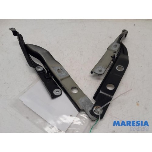 Citroen - C4 Cactus - Bonnet Hinge