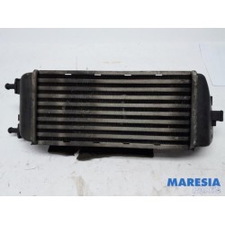 Fiat - Panda - Intercooler