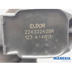 Renault - Clio - Pen ignition coil