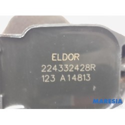 Renault - Clio - Pen ignition coil