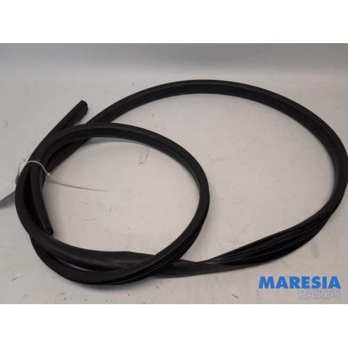 Renault - Twingo - Front door seal 4-door, right