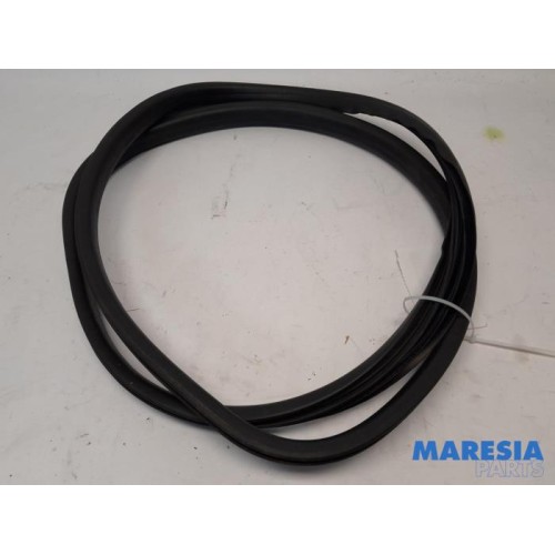 Renault - Twingo - Portierrubber 4Deurs links-achter