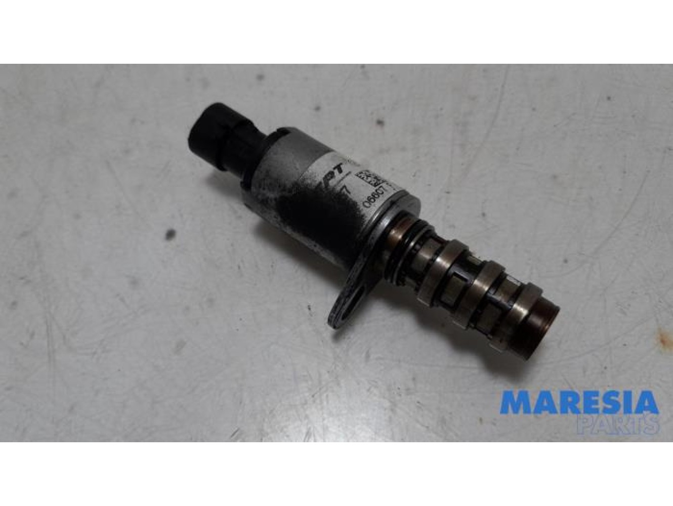 Fiat - Panda - Nokkenas Sensor