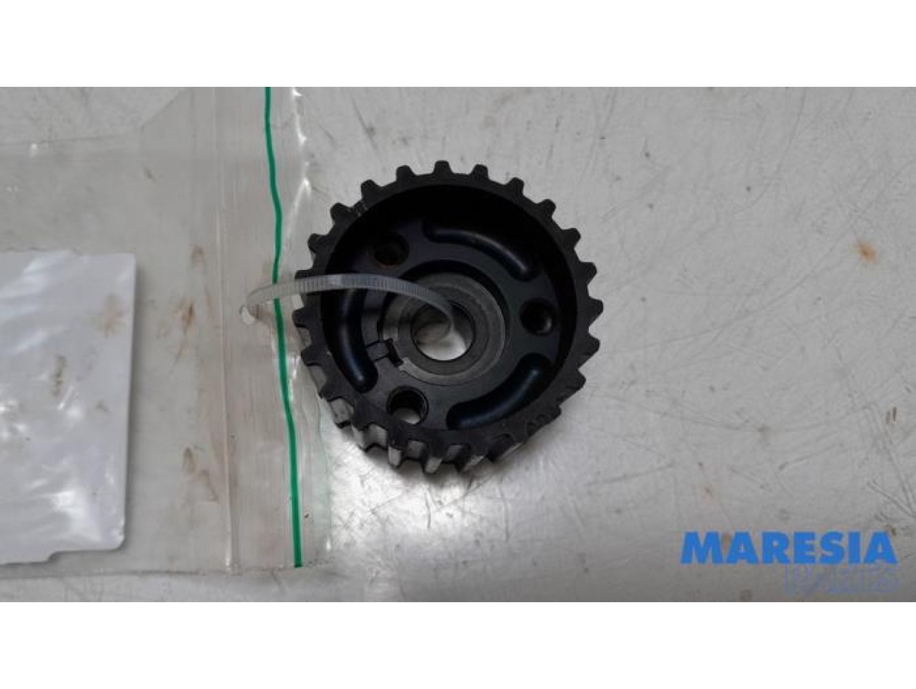 Fiat - Panda - Crankshaft sprocket