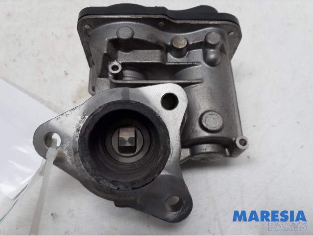Renault - Clio - EGR valve