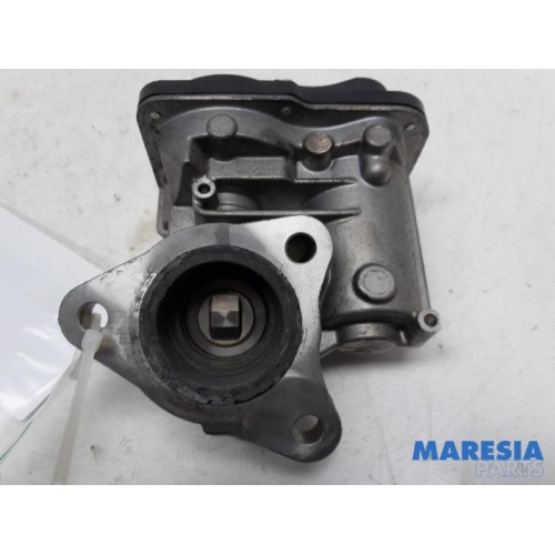 Renault - Clio - EGR Klep
