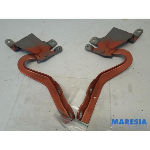 Renault - Clio - Bonnet Hinge