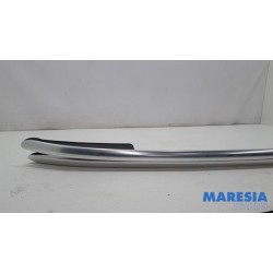 Renault - Clio - Dachreling Set