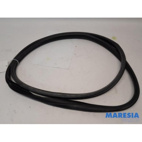 Peugeot - 3008 - Portierrubber 4Deurs links-achter