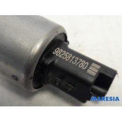 Peugeot - 208 - Nokkenas Sensor
