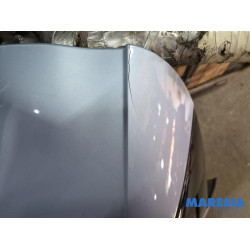 Citroen - C4 Grand Picasso - Tailgate