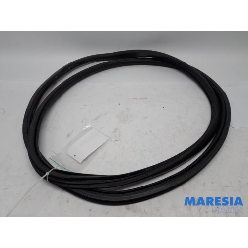 Peugeot - Expert - Door seal 2-door, left