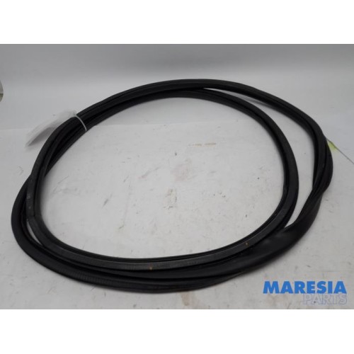 Peugeot - Expert - Door seal 2-door, right