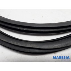 Citroen - C4 - Front door seal 4-door, right